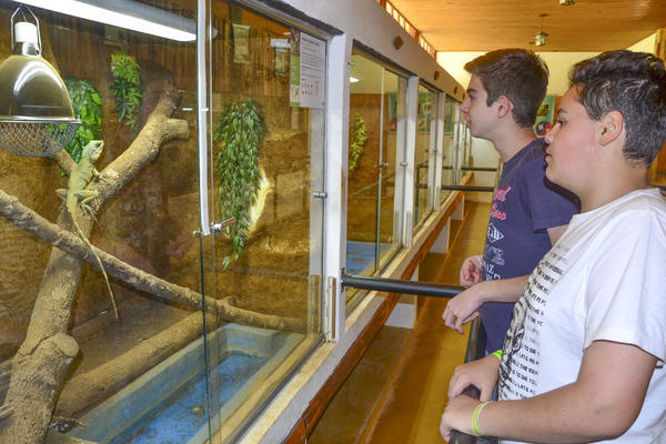 Buy your photos of the eventNR Sun - 03 a 06/09/17 on Fotop