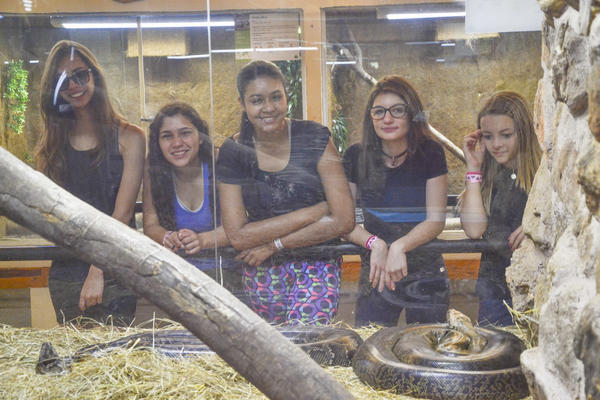 Buy your photos of the eventNR Sun - 03 a 06/09/17 on Fotop