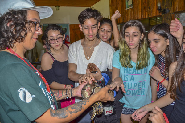 Buy your photos of the eventNR Sun - 03 a 06/09/17 on Fotop