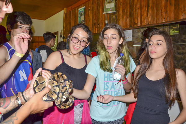 Buy your photos of the eventNR Sun - 03 a 06/09/17 on Fotop