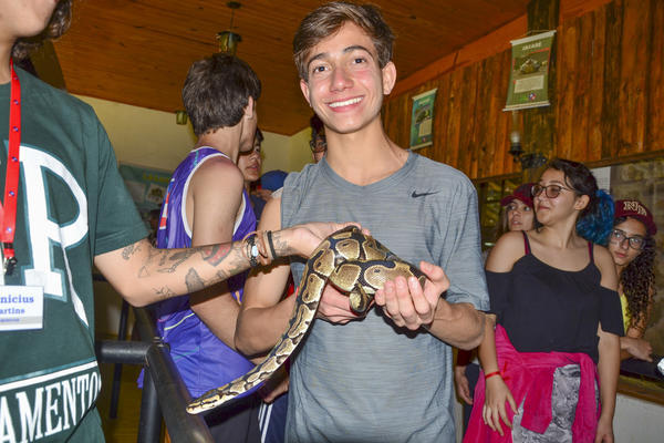 Buy your photos of the eventNR Sun - 03 a 06/09/17 on Fotop