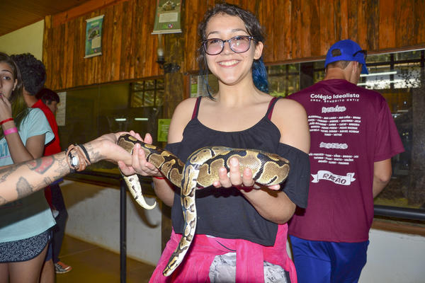 Buy your photos of the eventNR Sun - 03 a 06/09/17 on Fotop