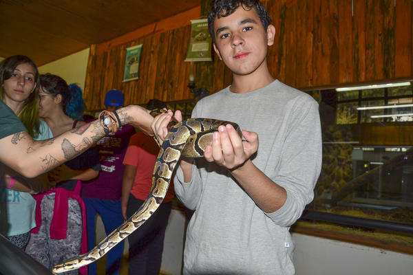 Buy your photos of the eventNR Sun - 03 a 06/09/17 on Fotop