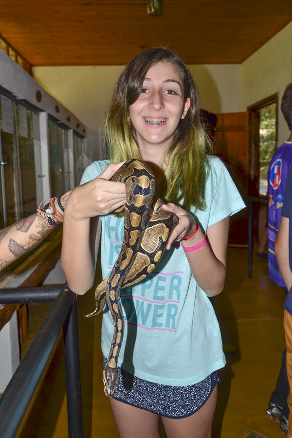 Buy your photos of the eventNR Sun - 03 a 06/09/17 on Fotop