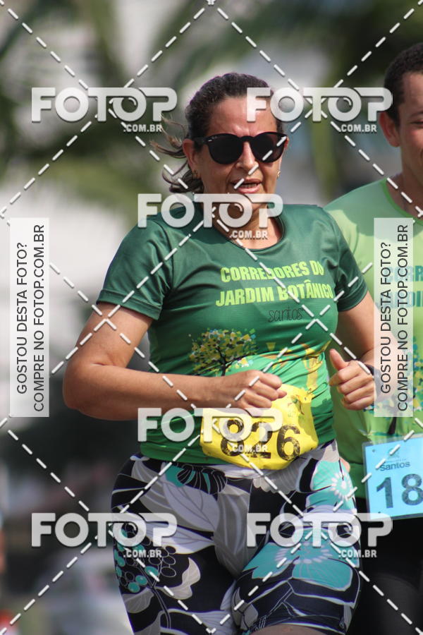 Buy your photos of the event32� Campeonato Santista de Pedestrianismo - 3� Etapa on Fotop