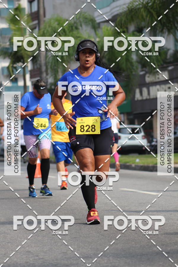 Buy your photos of the event32� Campeonato Santista de Pedestrianismo - 3� Etapa on Fotop