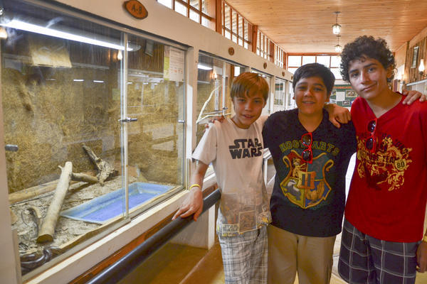 Buy your photos of the eventNR Sun - 06 a 10/09/17 on Fotop