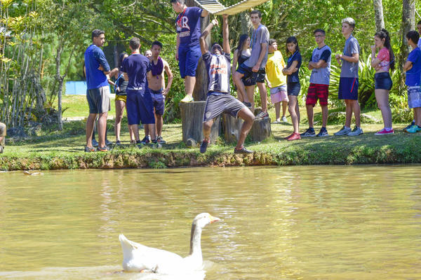 Buy your photos of the eventNRFUN 10 a 13/09/17 on Fotop