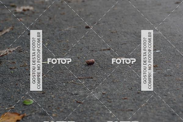 Buy your photos of the eventIII Corrida e Caminhada da Par�quia de S�o Sebasti�o on Fotop