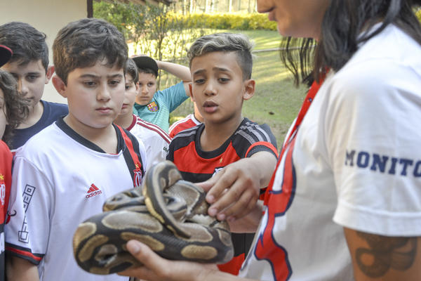 Buy your photos of the eventNR1 - Ol�, 6� Ano 13 a 15/09/17   on Fotop