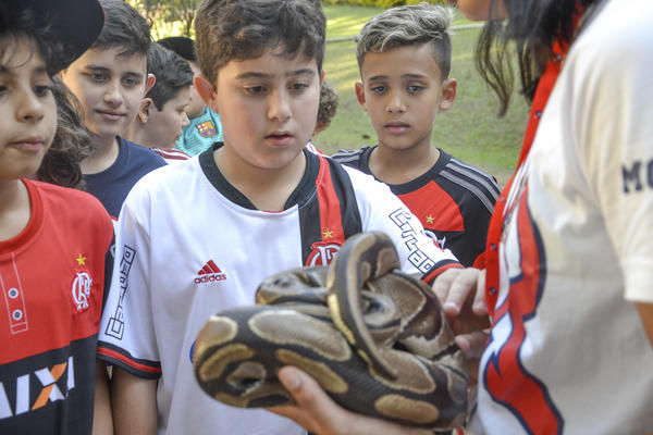 Buy your photos of the eventNR1 - Ol�, 6� Ano 13 a 15/09/17   on Fotop