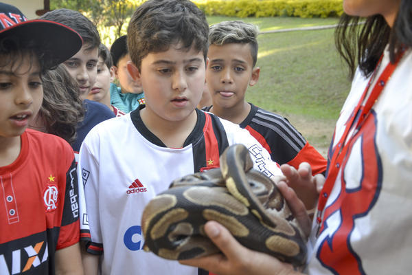 Buy your photos of the eventNR1 - Ol�, 6� Ano 13 a 15/09/17   on Fotop