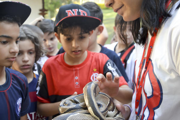Buy your photos of the eventNR1 - Ol�, 6� Ano 13 a 15/09/17   on Fotop
