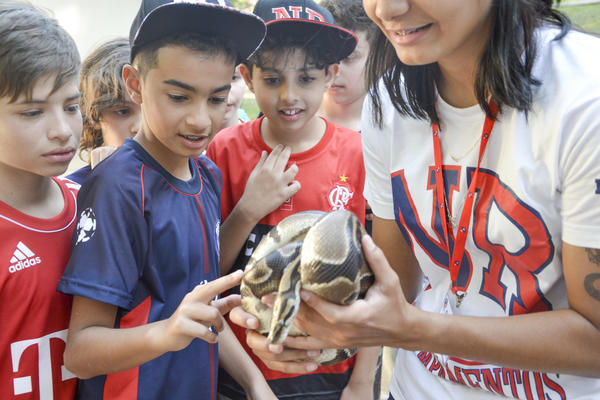 Buy your photos of the eventNR1 - Ol�, 6� Ano 13 a 15/09/17   on Fotop