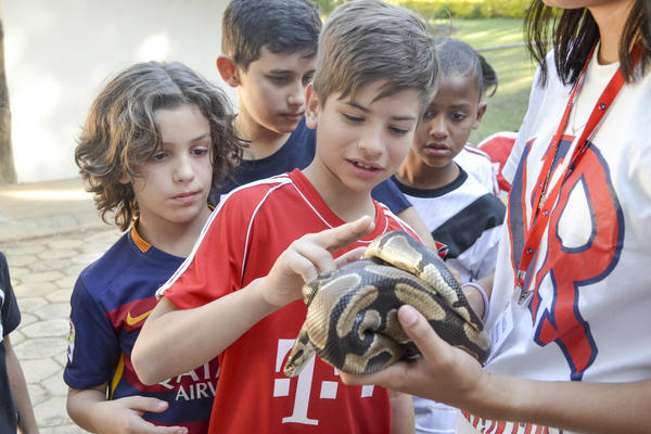 Buy your photos of the eventNR1 - Ol�, 6� Ano 13 a 15/09/17   on Fotop