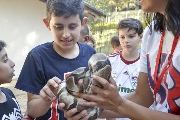 Buy your photos of the eventNR1 - Ol�, 6� Ano 13 a 15/09/17   on Fotop