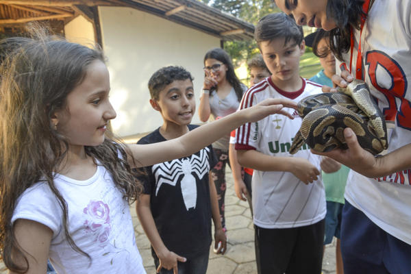 Buy your photos of the eventNR1 - Ol�, 6� Ano 13 a 15/09/17   on Fotop