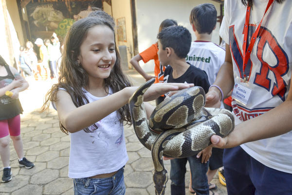 Buy your photos of the eventNR1 - Ol�, 6� Ano 13 a 15/09/17   on Fotop