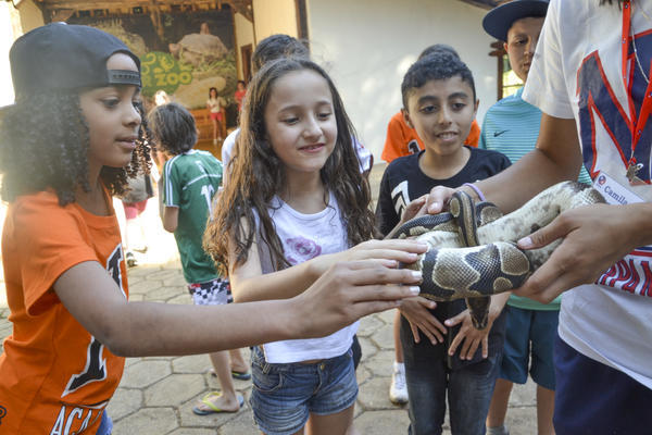 Buy your photos of the eventNR1 - Ol�, 6� Ano 13 a 15/09/17   on Fotop