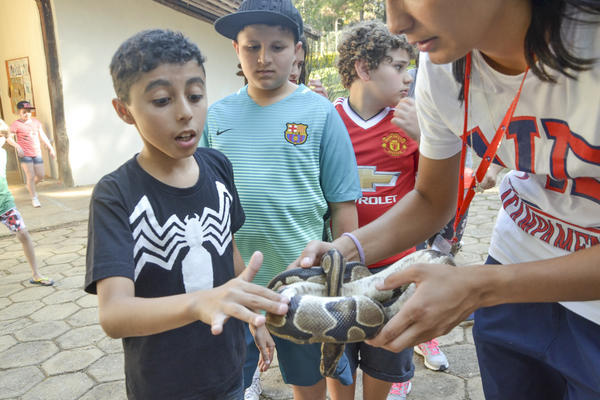 Buy your photos of the eventNR1 - Ol�, 6� Ano 13 a 15/09/17   on Fotop