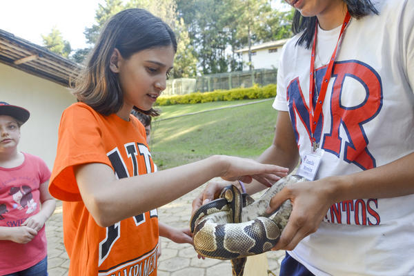 Buy your photos of the eventNR1 - Ol�, 6� Ano 13 a 15/09/17   on Fotop