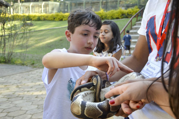 Buy your photos of the eventNR1 - Ol�, 6� Ano 13 a 15/09/17   on Fotop