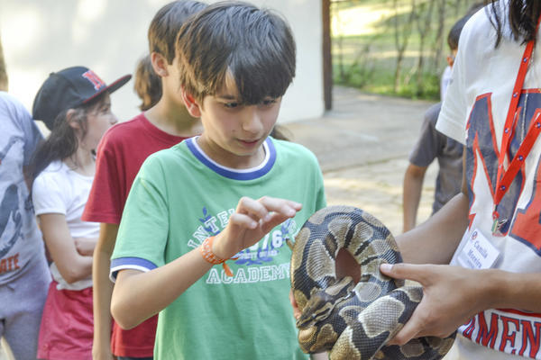 Buy your photos of the eventNR1 - Ol�, 6� Ano 13 a 15/09/17   on Fotop
