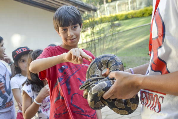 Buy your photos of the eventNR1 - Ol�, 6� Ano 13 a 15/09/17   on Fotop