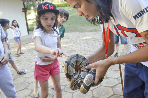 Buy your photos of the eventNR1 - Ol�, 6� Ano 13 a 15/09/17   on Fotop