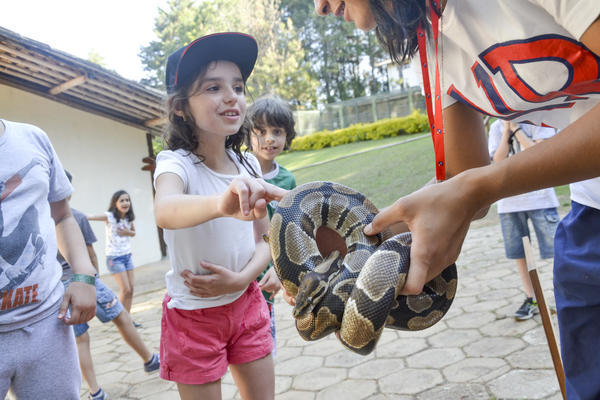 Buy your photos of the eventNR1 - Ol�, 6� Ano 13 a 15/09/17   on Fotop