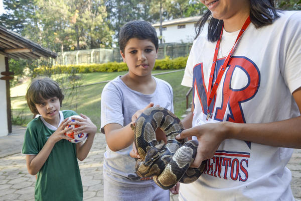 Buy your photos of the eventNR1 - Ol�, 6� Ano 13 a 15/09/17   on Fotop