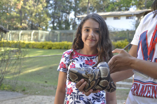Buy your photos of the eventNR1 - Ol�, 6� Ano 13 a 15/09/17   on Fotop
