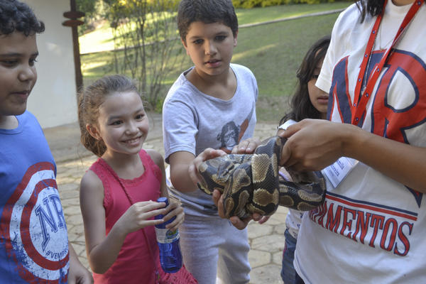 Buy your photos of the eventNR1 - Ol�, 6� Ano 13 a 15/09/17   on Fotop