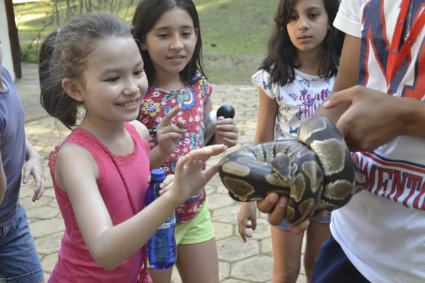 Buy your photos of the eventNR1 - Ol�, 6� Ano 13 a 15/09/17   on Fotop