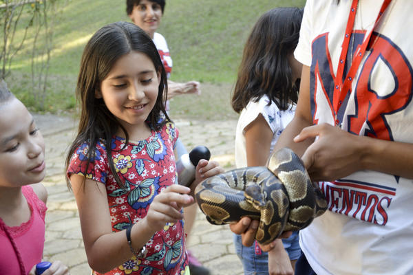 Buy your photos of the eventNR1 - Ol�, 6� Ano 13 a 15/09/17   on Fotop