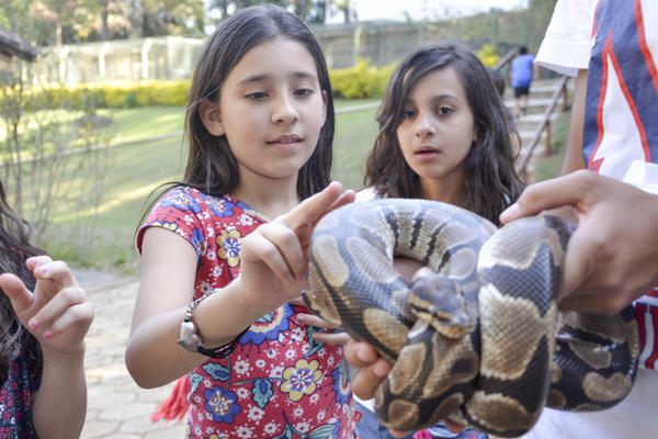 Buy your photos of the eventNR1 - Ol�, 6� Ano 13 a 15/09/17   on Fotop