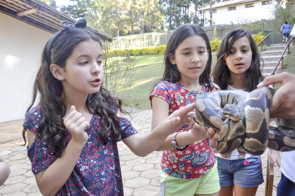 Buy your photos of the eventNR1 - Ol�, 6� Ano 13 a 15/09/17   on Fotop