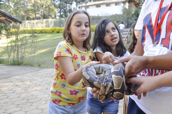 Buy your photos of the eventNR1 - Ol�, 6� Ano 13 a 15/09/17   on Fotop