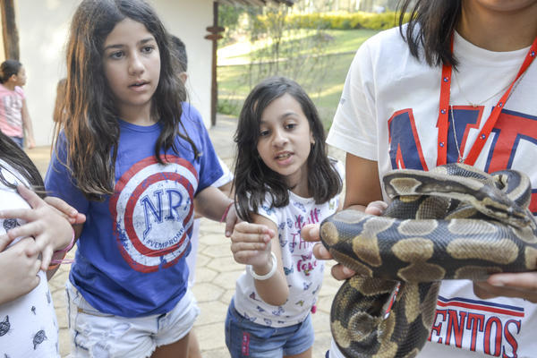 Buy your photos of the eventNR1 - Ol�, 6� Ano 13 a 15/09/17   on Fotop