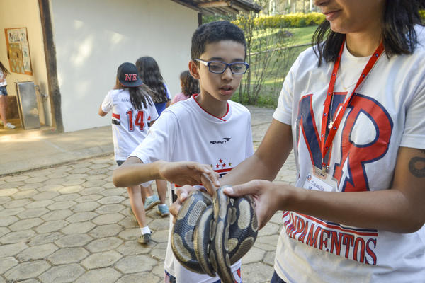 Buy your photos of the eventNR1 - Ol�, 6� Ano 13 a 15/09/17   on Fotop