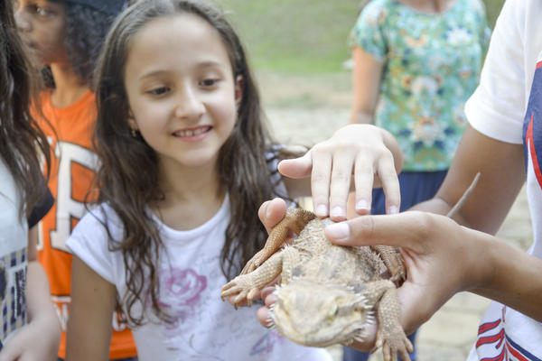 Buy your photos of the eventNR1 - Ol�, 6� Ano 13 a 15/09/17   on Fotop