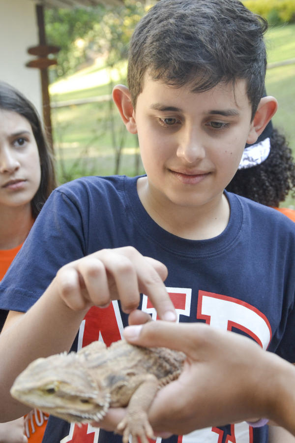 Buy your photos of the eventNR1 - Ol�, 6� Ano 13 a 15/09/17   on Fotop