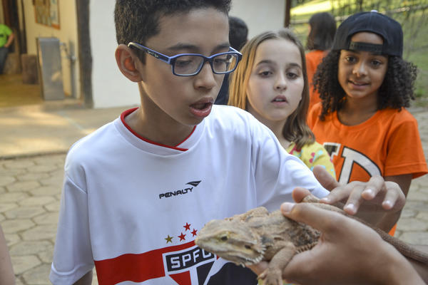 Buy your photos of the eventNR1 - Ol�, 6� Ano 13 a 15/09/17   on Fotop