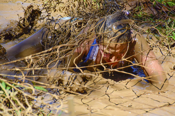 Buy your photos of the eventNR Fun 13 a 17/09/17 on Fotop