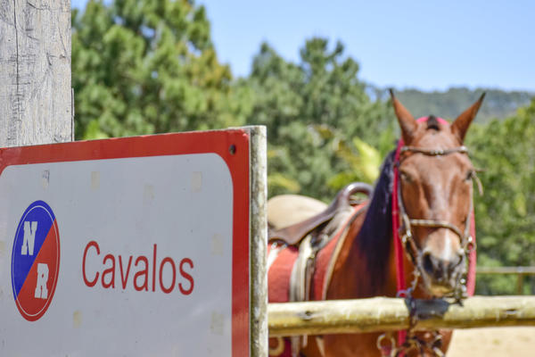 Buy your photos of the eventNR Fun 13 a 17/09/17 on Fotop