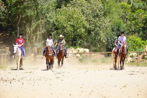 Buy your photos of the eventNR Fun 13 a 17/09/17 on Fotop