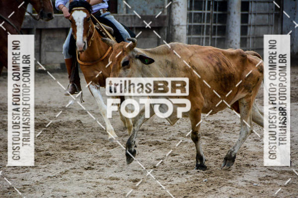 Buy your photos of the eventSemana Farroupilha no CTG os Praianos on Fotop