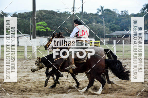 Buy your photos of the eventSemana Farroupilha no CTG os Praianos on Fotop