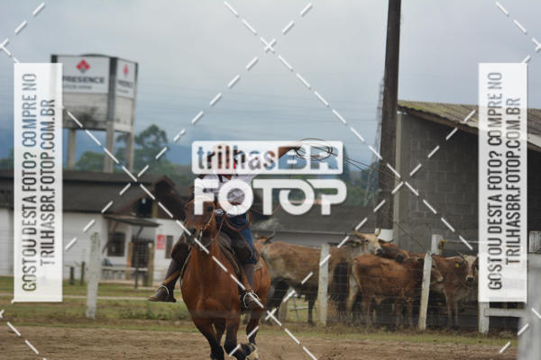 Buy your photos of the eventSemana Farroupilha no CTG os Praianos on Fotop