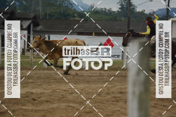 Buy your photos of the eventSemana Farroupilha no CTG os Praianos on Fotop